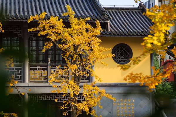 办结婚证黄道吉日 办结婚证吉祥日子？-第2张图片-华夏算命网